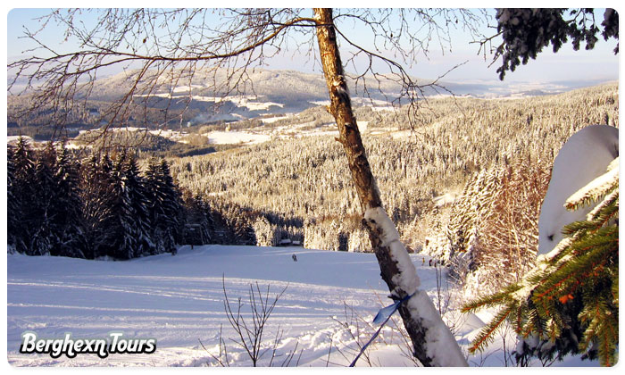 Wald Skipiste
