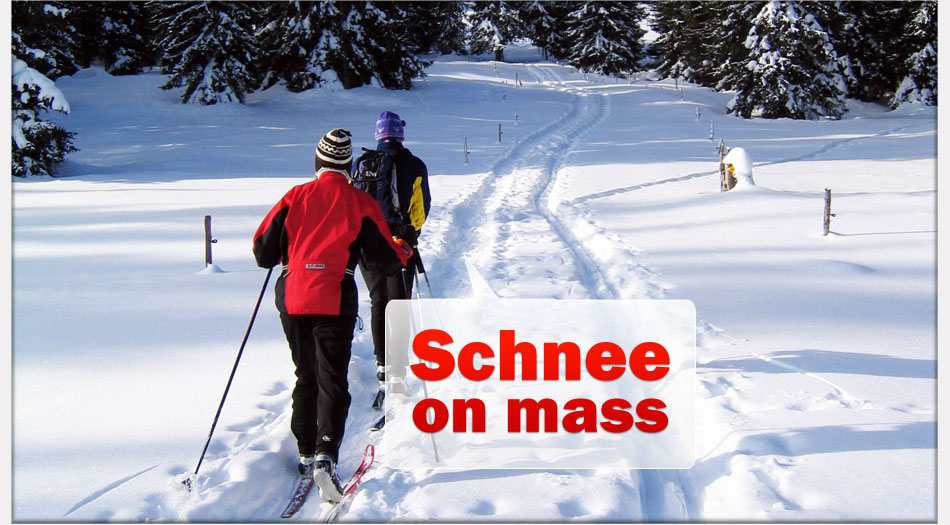 Bestens gespurte Langlaufloipen Skilanglauf - Langlaufen